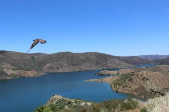Rota - Circuito Panorâmico da Foz do Sabor - Estevais | Torre de Moncorvo| Douro| Portugal