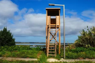 Rota - Passadiços da Coutada  - Ílhavo| Região de Aveiro| Portugal