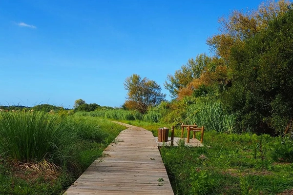 Rota - Passadiços da Coutada  - Ílhavo| Região de Aveiro| Portugal