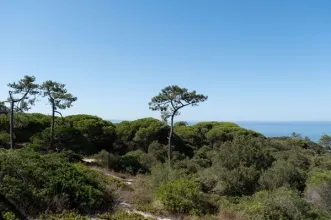 Rota - Passadiços da Mata dos Medos - Almada| Área Metropolitana de Lisboa| Portugal
