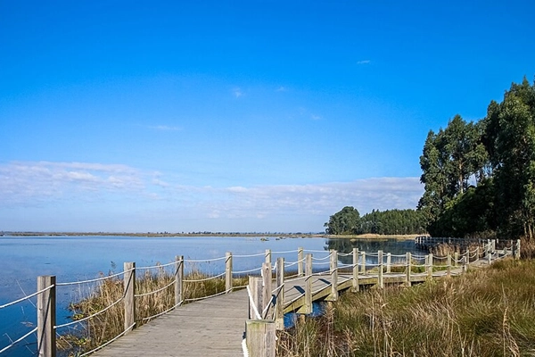 Rota - Passadiços de Aveiro  - Cais de São Roque | Aveiro| Região de Aveiro| Portugal