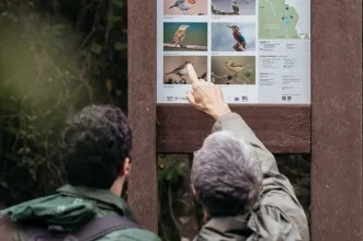 Rota - Percurso Interpretativo Reserva Natural do Paul de Arzila - Arzila| Coimbra| Região de Coimbra| Portugal
