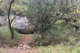 Rota - PR7 – Vale da Ribeira do Mogo - Chiqueda | Junta de Freguesia de Aljubarrota| Alcobaça| Oeste| Portugal
