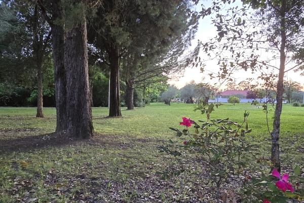 Rota - Ciclovia da Mealhada  - Mealhada| Mealhada| Região de Coimbra| Portugal