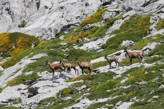 Rota - Buferrera-Ordiales - Cangas de Onís| Asturias| España