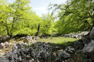 Rota - Demués - Los Lagos - Onís| Asturias| España