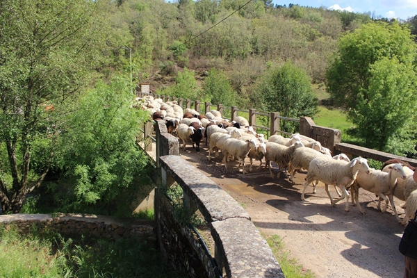 Rota - PR1 VMS – Pelas Margens do Rio Angueira - São Joanico, Vale de Frades| Vimioso| Terras de Trás-os-Montes| Portugal
