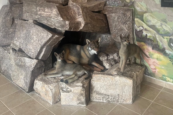 Rota - PR6 VMS Rota do Lobo Ibérico  - Vimioso| Terras de Trás-os-Montes| Portugal