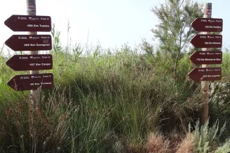 Rota - GR 99 Camino del Ebro - Etapa 3 Amposta - Tortosa - Tortosa| Tarragona| España