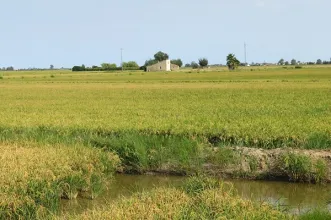 Rota - GR 99 Camino del Ebro - Etapa 3 Amposta - Tortosa - Tortosa| Tarragona| España