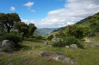 Rota - Caminho do Ferro - Salamanca| Salamanca| España