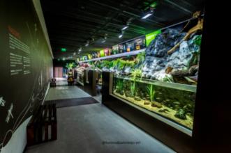 Rota - PR1 MOR Mora, Um Amor Para Sempre - Mora| Mora| Alentejo Central| Portugal