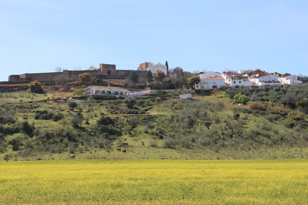 Rota - PR1 - Percurso Ouguela, Sentinela da Raia - Ouguela| Campo Maior| Alto Alentejo| Portugal