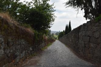 Rota - PR7 PCT – Trilho de Castendo  - Penalva do Castelo| Viseu Dão Lafões| Portugal