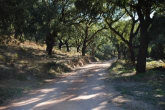 Rota - Centro de BTT da Ferraria de S.João- Percurso 1 - Ferraria de São João| Penela| Região de Coimbra| Portugal