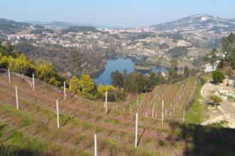Rota - PR1 CPV Ilha dos Amores - Fornos| Castelo de Paiva| Tâmega e Sousa| Portugal