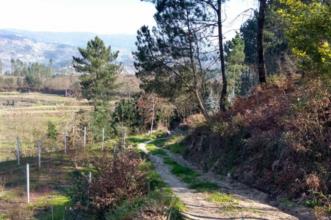Rota - PR1 CPV Ilha dos Amores - Fornos| Castelo de Paiva| Tâmega e Sousa| Portugal