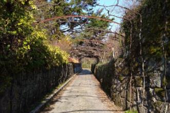 Rota - PR1 CPV Ilha dos Amores - Fornos| Castelo de Paiva| Tâmega e Sousa| Portugal