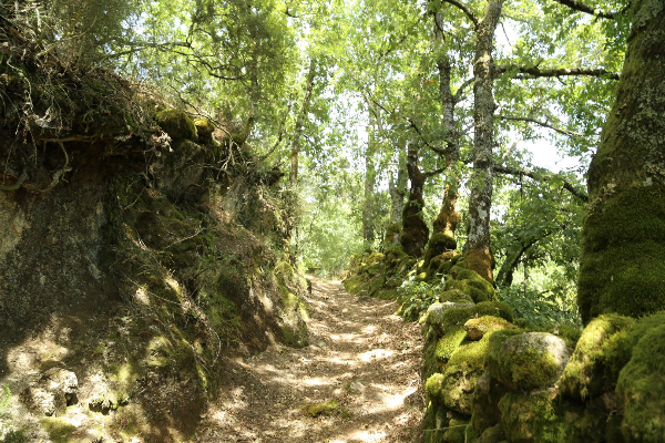 Rota - GR 50 Etapa 1 - Ameijoeira – Castro Laboreiro - Ameijoeira| Melgaço| Alto Minho| Portugal