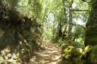 Rota - GR 50 Etapa 1 - Ameijoeira – Castro Laboreiro - Ameijoeira| Melgaço| Alto Minho| Portugal