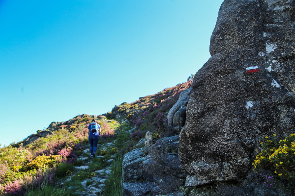Rota - GR 50 Etapa 2 – Castro Laboreiro – Lamas de Mouro - Castro Laboreiro| Melgaço| Alto Minho| Portugal