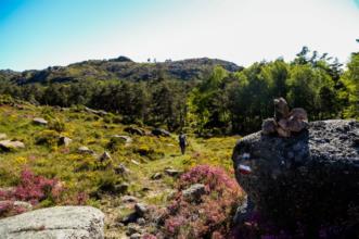 Rota - GR 50 Etapa 2 – Castro Laboreiro – Lamas de Mouro - Castro Laboreiro| Melgaço| Alto Minho| Portugal