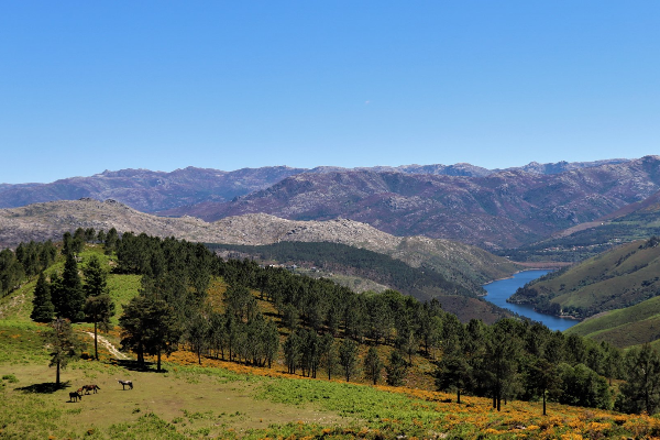 Rota - GR 50 Etapa 4 – Peneda – Adrão (Sr. Da Paz) - Peneda| Arcos de Valdevez| Alto Minho| Portugal