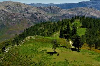 Rota - GR 50 Etapa 4 – Peneda – Adrão (Sr. Da Paz) - Peneda| Arcos de Valdevez| Alto Minho| Portugal