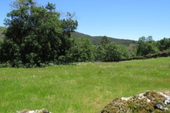 Rota - GR 50 Etapa 4 – Peneda – Adrão (Sr. Da Paz) - Peneda| Arcos de Valdevez| Alto Minho| Portugal