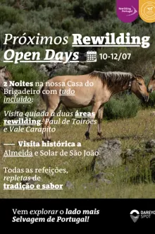 Evento - Rewilding Open Days: 10-12 Julho - Almeida| Beiras e Serra da Estrela| Portugal - De 10, jul 2026 a 12, jul 2026