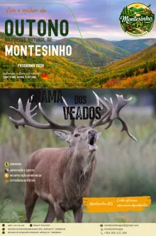 Evento - Outono no Parque Natural de Montesinho - Bragança| Terras de Trás-os-Montes| Portugal - De 19, set 2026 a 04, out 2026