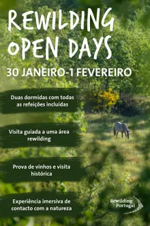 Evento - 7º Rewilding Open Days - Pinhel| Beiras e Serra da Estrela| Portugal - De 30, jan 2026 a 01, fev 2026